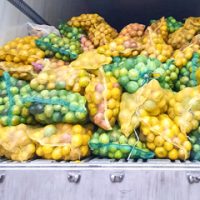concenmex-imagenes-categorias-productos-frutas